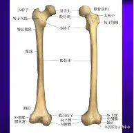 2025英雄联盟赛事直播-风云突变山东泰山今夜战术微调北京国安官宣签约备战亚冠，现场解说直呼：莱万多夫斯基在加拿大队比赛中晋级的简单介绍